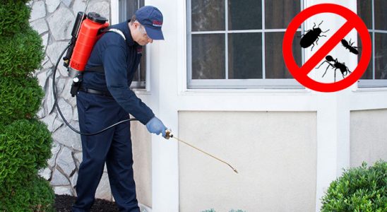 Elmadağ Hamam Böceği İlaçlama böcek ilaçlama ve haşere kontrolü — ilaclama-tr.com